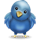 twitterIcon